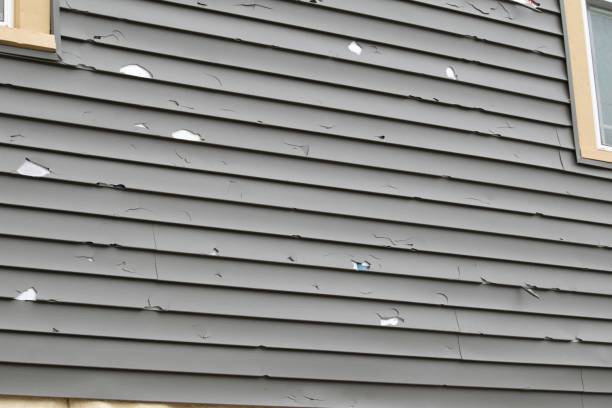 Best Vinyl Siding Installation  in Bellaire, TX